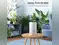 Image for Best Air Purifiers Under 5000: Cost-Effective Picks for Your Space