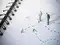 Big Movers on D-Street: What should investors do with GAIL, Polycab and Allcargo Logistics?:Image