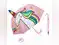 Image for Best Umbrellas for Kids: Fun, Playful and Functional Umbrellas
