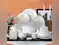 Image for Dinner sets under 30000 - 6 dinnerware options to enhance the way you dine
