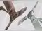 Image for Best BLDC Fans in India for Efficient, Silent and Consistent Air Delivery (2024)