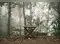 Image for Best Tables under 1000 to Functionally Beautify Your Living Space
