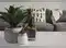 Image for 10 Best Indoor Plants for Your Humble Abode