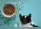 Image for High-Quality Cat Food under 2000 for happy, healthy cats