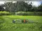 Image for 10 Best Water Sprinklers for Gardens in India