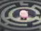 F&O is a path to financial ruin if you are a ...:Image