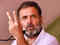 LS polls: Rahul Gandhi has to resign within two weeks from one of two seats he won, says expert:Image