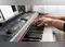 Image for Best Digital Piano and Keyboards for Musicians