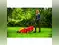 Image for 10 Best Lawn Mowers in India for a Lush, Beautiful Lawn all Year Round (2024)