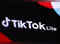 EU threatens to suspend TikTok Lite app's 'addictive' rewards:Image