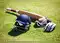 Image for Gear Up for Glory: Discover the Best Complete Cricket Kit in India
