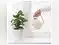 Image for 10 Best Watering Cans for Indoor and Outdoor Plants