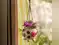 Image for 10 Stylish Hanging Planters to Add a Touch of Green to Your Home
