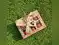 Image for Best Premium housewarming gifts for ‘Griha Pravesh’ 2025