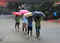 Kerala on high alert: Heavy rains prompt warnings, travel bans in many districts:Image