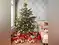 Image for Best Christmas trees to brighten your home and spread joy this season