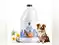 Image for Say Goodbye to Ticks and Fleas with Top Dog Shampoos for Itch-Free Skin