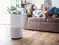Image for Best air purifiers for cleaner, healthier indoor air