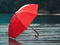 Best umbrellas under 2000: Top picks for style, durability, and protection