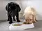Image for Best puppy foods: Nutritious, balanced, and delicious options for growing puppies