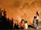 SC slams Uttarakhand, says state's approach in controlling forest fires lackadaisical:Image