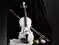 Image for The Best Violins Under 20,000 for Professionals: Quality and Affordability