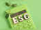 ESG consultancies and services on the rise as companies rush to get sustainability tag:Image