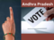 Andhra Pradesh clocks over 78 per cent polling in LS, Assembly elections:Image