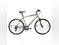 Image for Best Road Bikes for the Best Urban Cruising Experience
