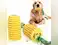 Image for Best Dog Chew Toys that promote healthy teeth and gums