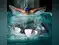 Image for 10 Best Swimming Goggles for Fun-filled Water Based Activities