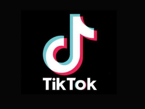 Madras High Court directs Centre to prohibit Tik Tok download - The  Economic Times