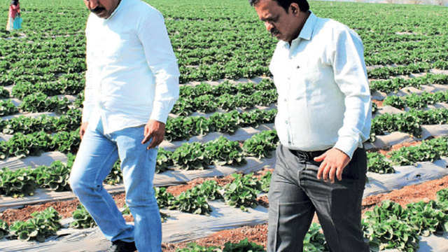 How Farmer Producer Company Model Can Transform Indian - 