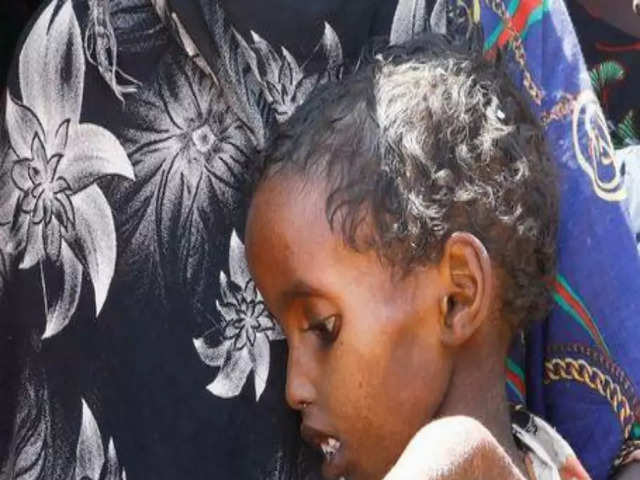 Millions hit in Somalia's worst drought in decades