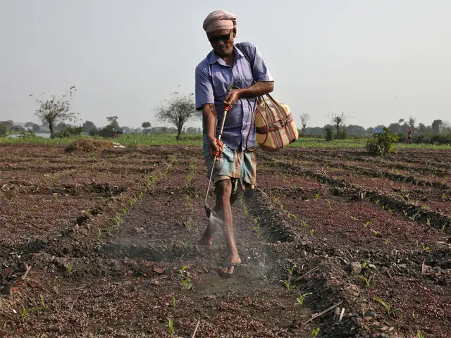 chai point mini flask quantity