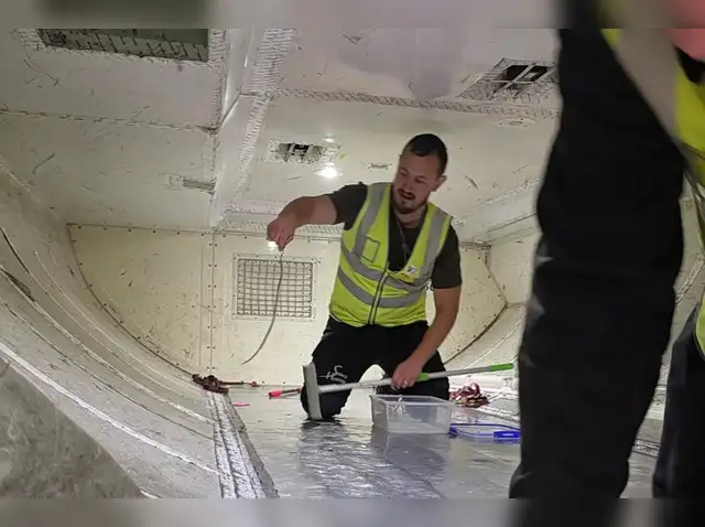 A Snake on a Plane: The Unusual Discovery That Delayed a Flight