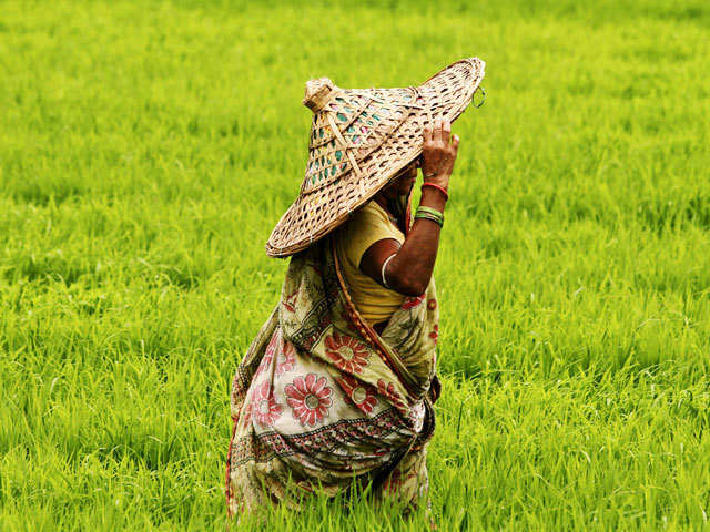 अक्षमाला 15 महीनों में 1,000 कृषि-क्लिनिक खोलने की योजना बना रही है - द इकोनॉमिक टाइम्स