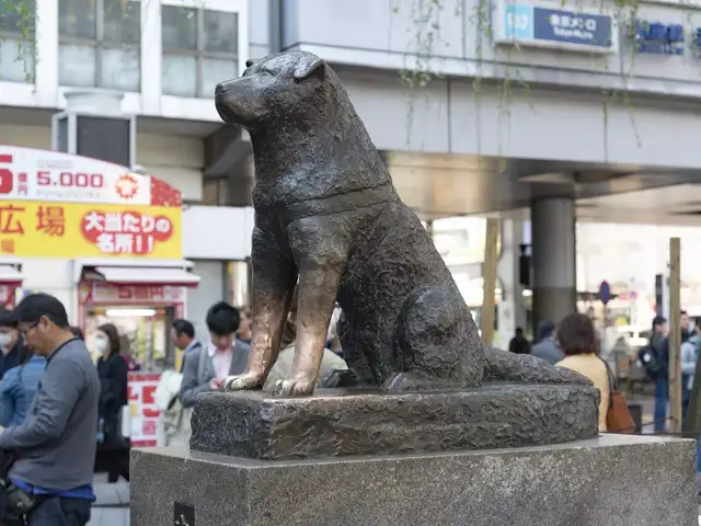 loyalty: The most loyal dog in the world turns 100 - The Economic
