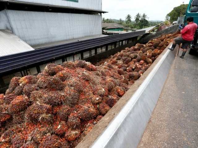 Malaysian Palm Oil Futures Chart