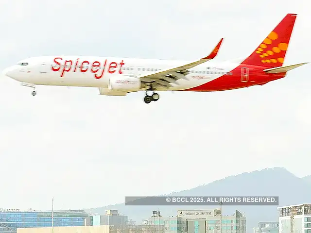 spicejet check in baggage