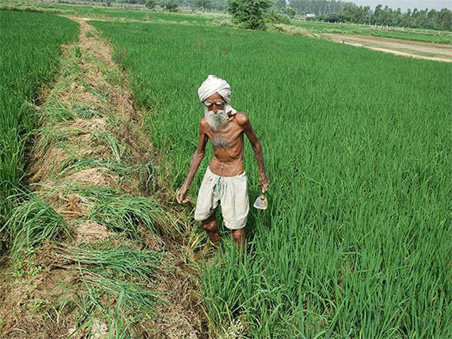 Agriculture experts call on farmers to focus on self marketing - The  Economic Times