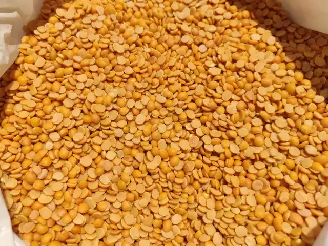 Tur Dal Memes Masala Khichdi| Toor Dal Khichdi – The World Through