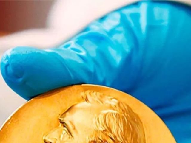 ​Everything you need to know about Nobel Peace Prize​
