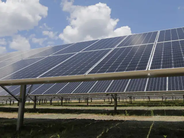 Developers Protest As Haryana Limits Solar Transmission