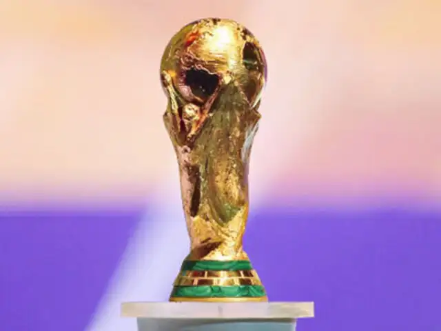 World Cup Bookies Goldman Sachs Bet On Brazil S Victory In World Cup 2014 The Economic Times