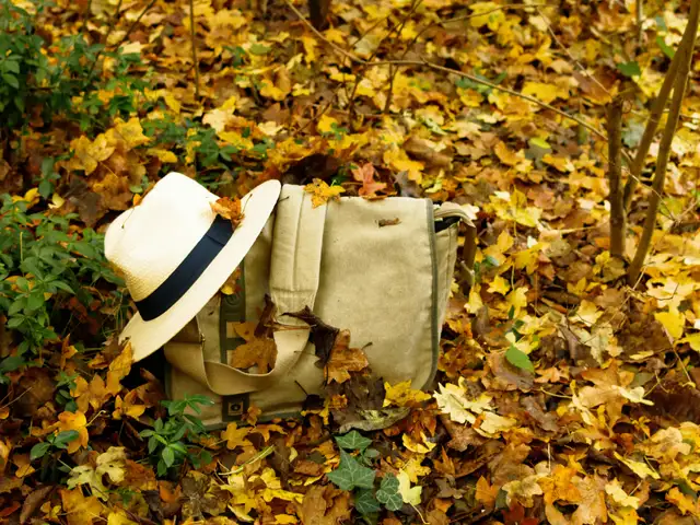 Top 7 countries to visit this autumn season