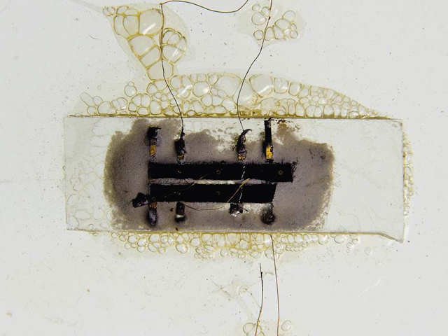 The World's First Microchip