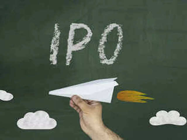 IPO rush: Should you join the IPO rush? A simple guide for the savvy  investor - The Economic Times