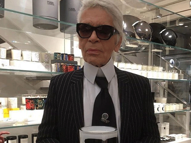 limited edition by KARL LAGERFELD-