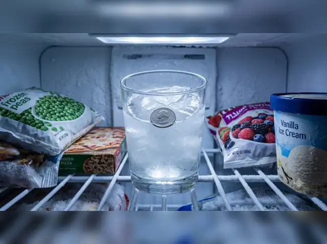can you put tobacco in the freezer What's my Freezer??? 2021 *TOUR* Anyone else keep their packs